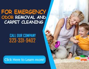 Carpet Cleaning West Hollywood, CA | 323-331-9402 | Steam Clean